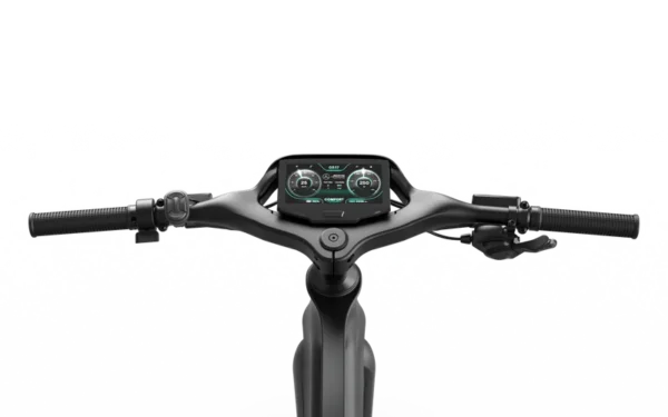 Mercedes-AMG F1® Team Track Edition 250 Electric Bike